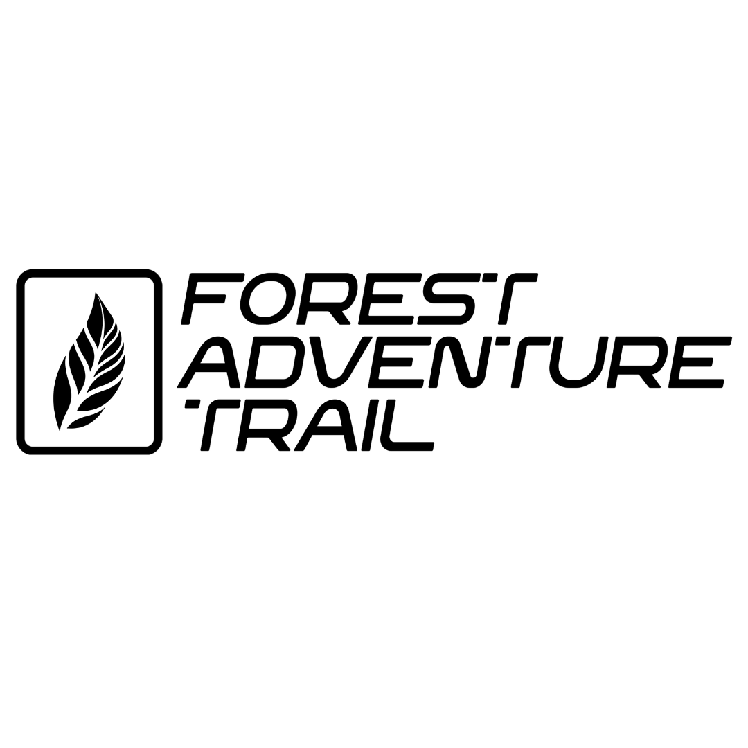 Forest Advanture Trail